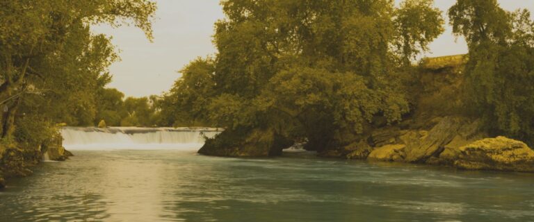 As Margens de um Movimento